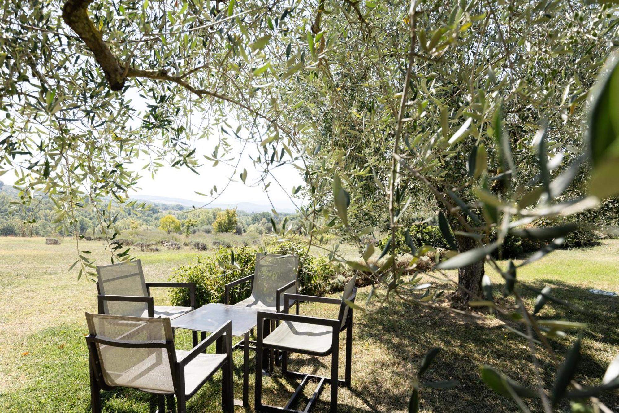 Tenuta Ponziani Wine Resort&Spa Morrano Buitenkant foto